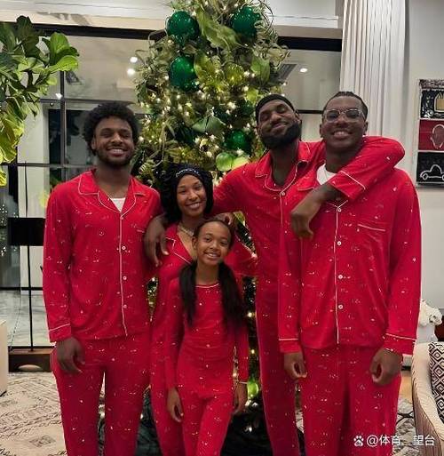 詹姆斯儿子出生日期