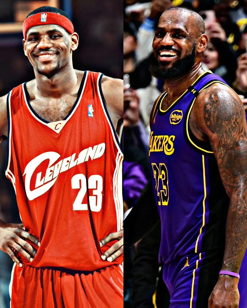 詹姆斯进nba是多大