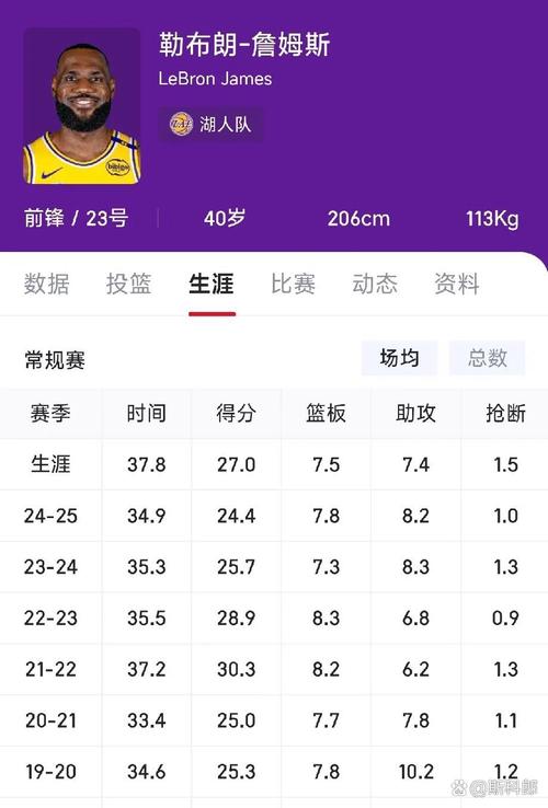 詹姆斯的简介资料