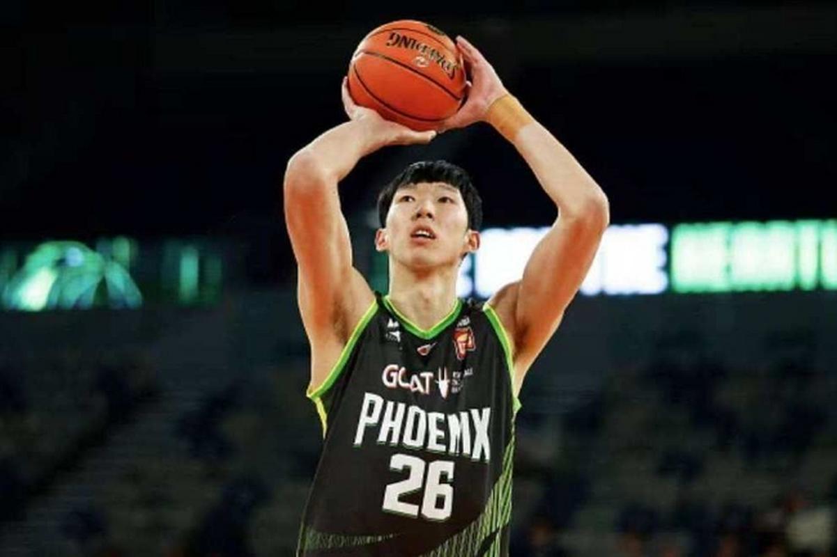 nbl凤凰队是什么