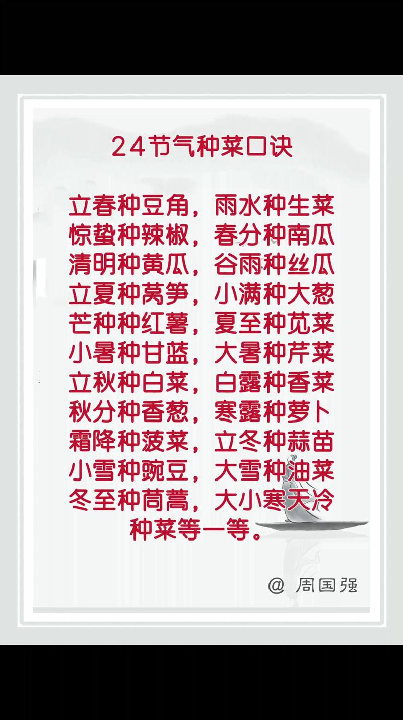 热火朝天种绿菜是什么生肖