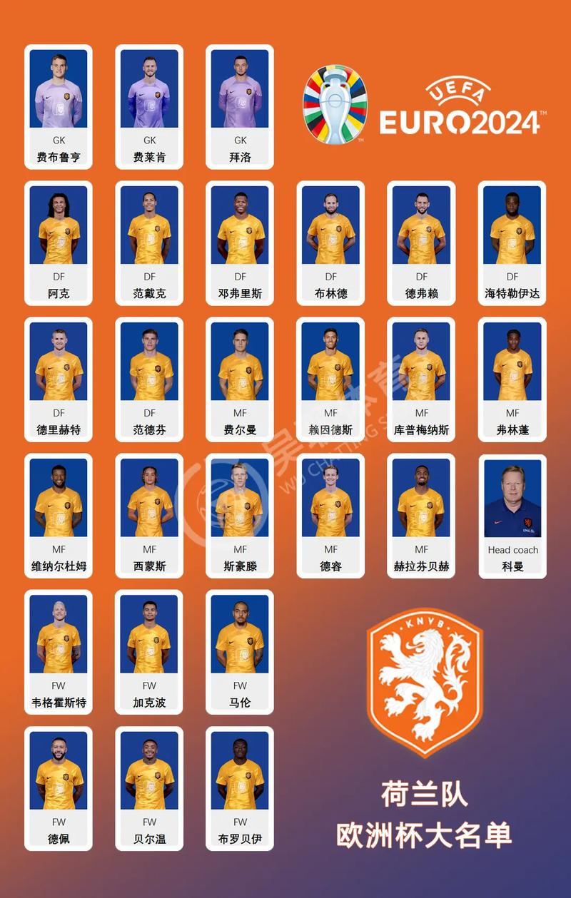 荷兰公布世界杯初选名单是哪一年