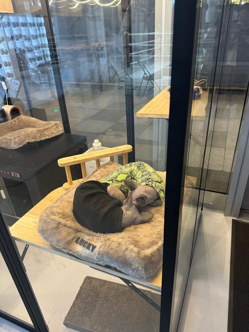 拳击航拳击航母