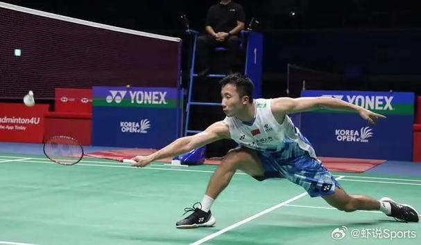 羽毛球男子单打决赛情况
