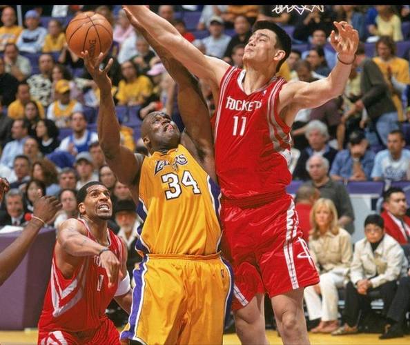 姚明在哪支球队效力