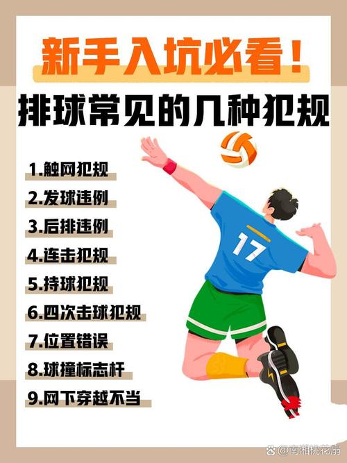 排球一共几个裁判