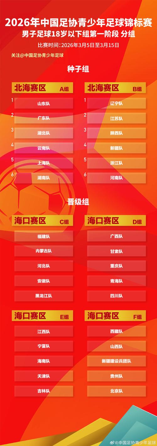 2022世界杯中国队分组