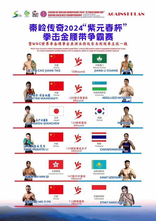 国际自由搏击排名