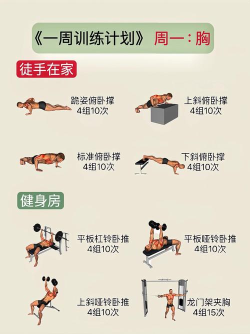 举重的规则和分级