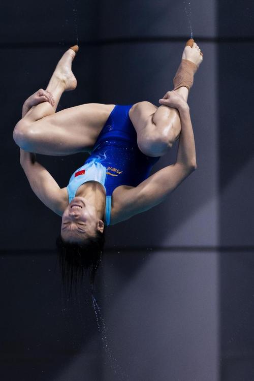 从哪一届奥运会开始跳水