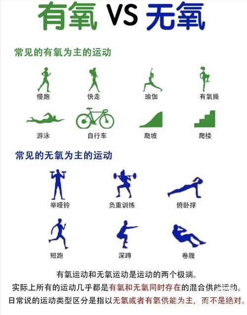 体育运动项目的概念