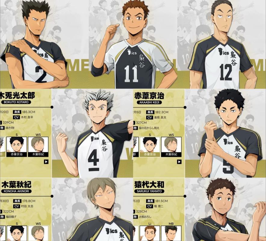 排球少年b站有几季