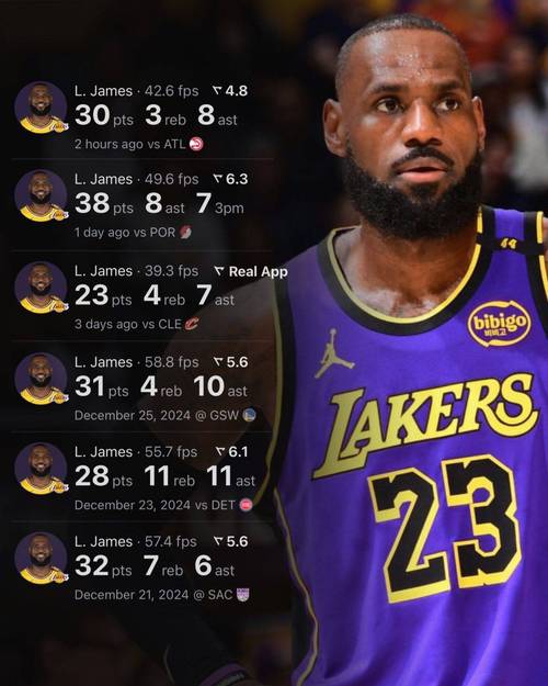 热火小牛总决赛詹姆斯数据