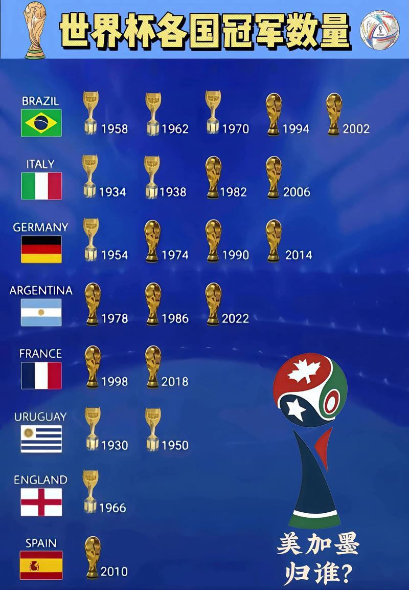 2010世界杯冠军是哪个