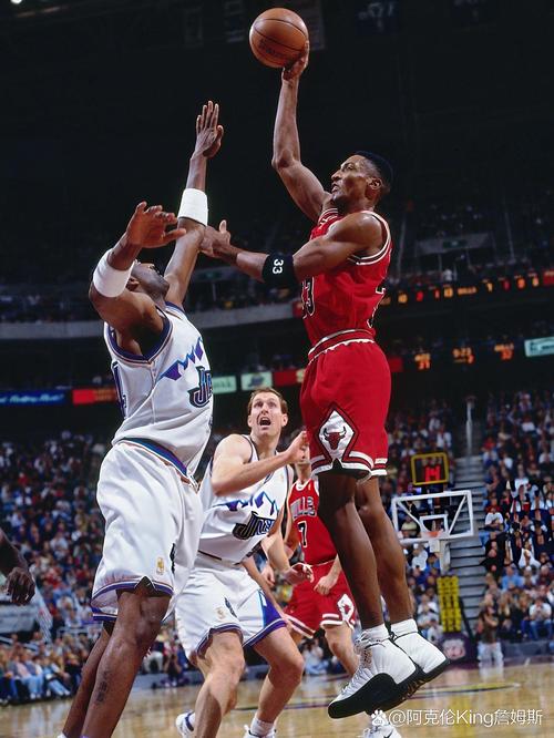 nba2021公牛队阵容