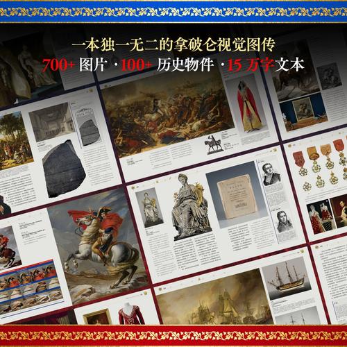 24号传奇：球场上的战神传奇之路