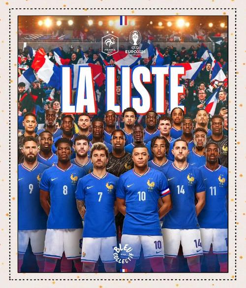 2006世界杯，法国队：那群老将的青春之战