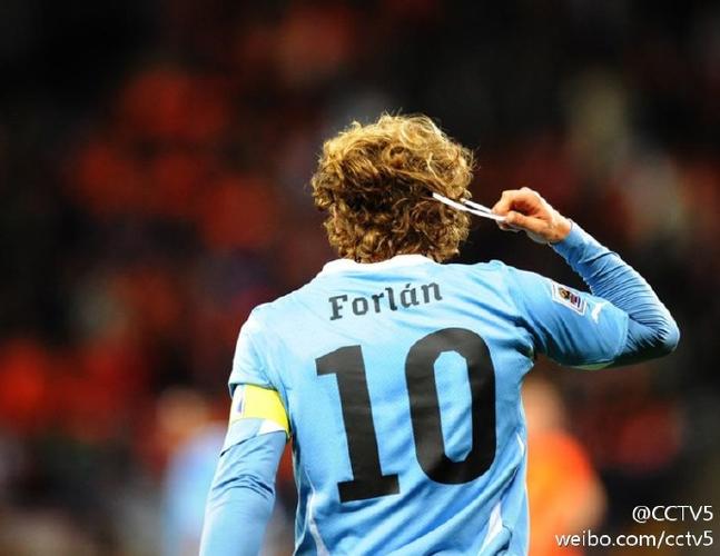 2010年乌拉圭，那支勇往直前的美洲狮